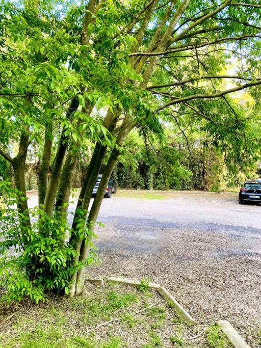 Le Havre De Paix Montpellierain - Terrasse Et Parking Prive Apartman Kültér fotó