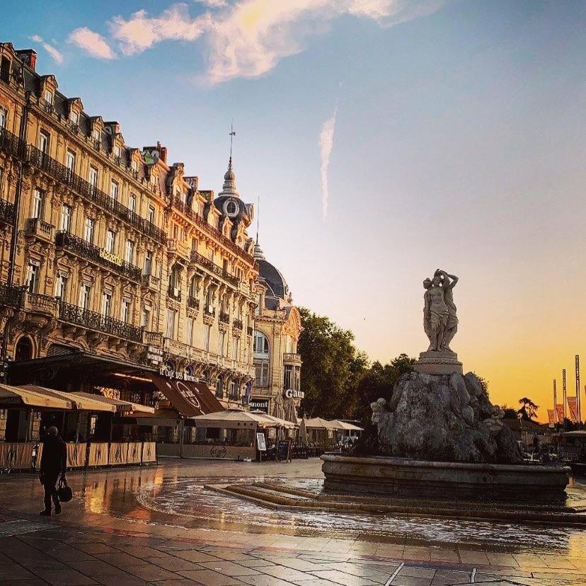 Le Havre De Paix Montpellierain - Terrasse Et Parking Prive Apartman Kültér fotó